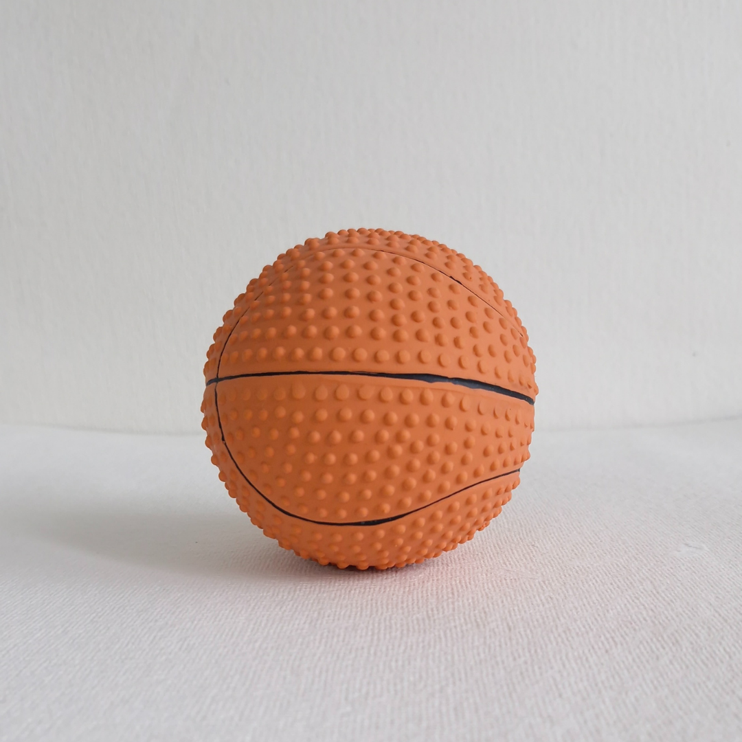 CNC Durable Squeaky Pet Basketball Toy