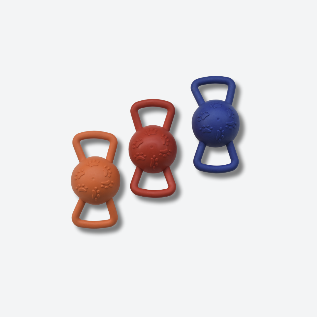 CNC Kettlebell Training Squeaky Pet Toy - Durable Chew & Fetch Fun - Chasenchew