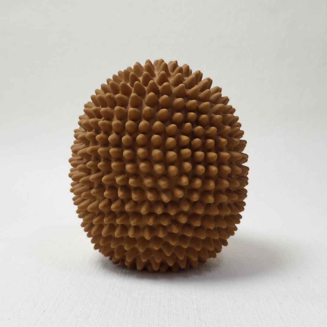 CNC Happy Hedgie Latex Chew Toy
