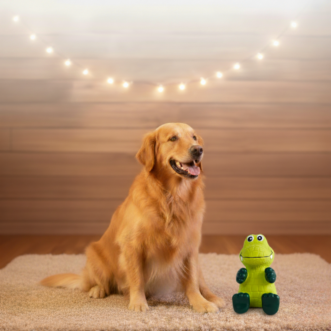 CNC Cute Sitting Crocodile Squeaky Dog Toy