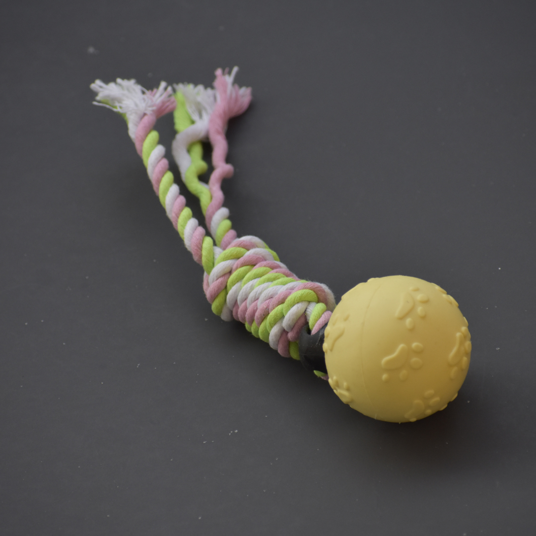 CNC The Ultimate Chew & Tug Dog Toy