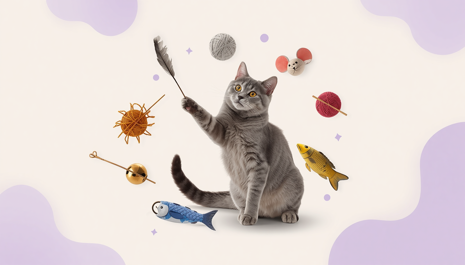 Cat Toys